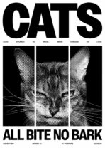 Cats. All Bite No Bark Drop Shoulder Oversized T-Shirt | Cat Graphic Tee | Premium Cotton | GetShiver - Image 11